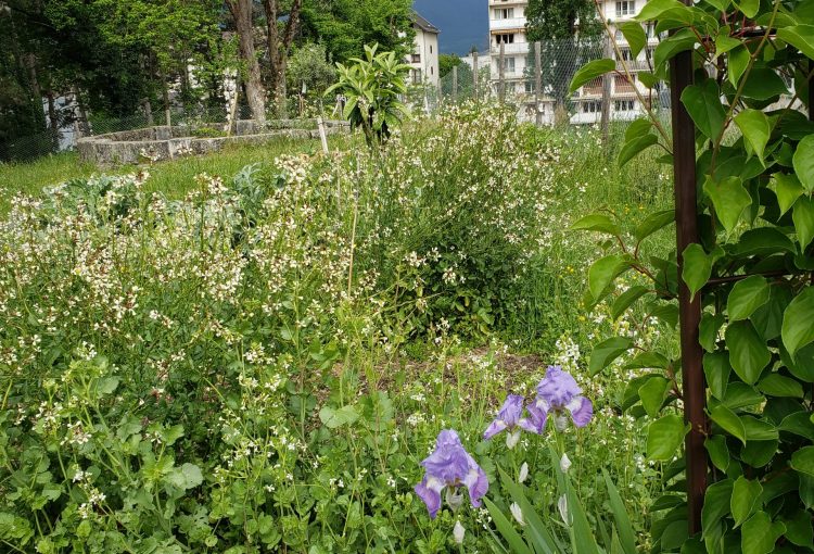 Jardins du Bon Goût