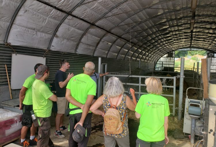 Chantiers d&rsquo;insertion Transi&rsquo;Terre : à la découverte des métiers de l’agriculture !
