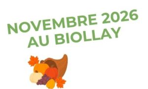 Les activités du mois de novembre 2026 à la Régie Coup de Pouce